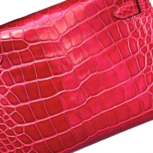 Hermes Kelly Mini Braise Alligator PHW